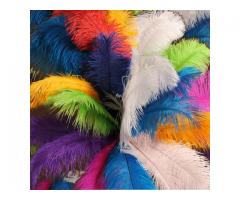plumas de avestruz para decoración y carnavales