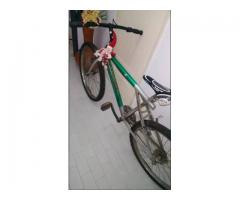 Bicicleta Shogun - Imagen 4/5