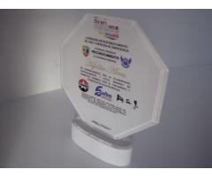 Trofeo Acrílico Transparente 5 Mm Cuarto Carta
