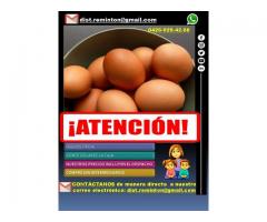 Vendemos Huevos tipo A y Leche La Campiña al mayor - Imagen 5/6