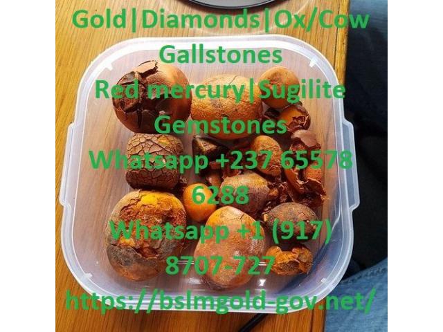 Where to buy diseased free Cow/Ox cattle Gallstones - 1/1