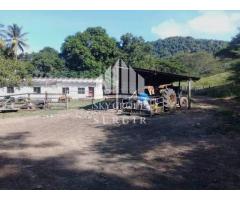 Finca en Yaracal SGF-009 - Imagen 4/6