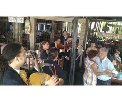 Mariachis en  Cúa Charallave Valles del Tuy Paracotos - Imagen 4/5