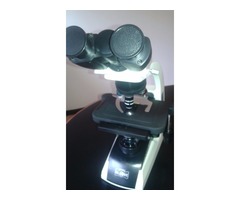 Microscopio Globe N200 Nuevo - Imagen 1/2
