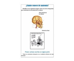 Revista Pasatiempo CruciSalud - Ciencias de la Salud - Imagen 4/6