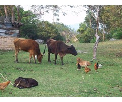 Posada Colonial Gonzalez - Imagen 6/6