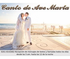 MÚSICO PARA TU BODA - Imagen 4/6