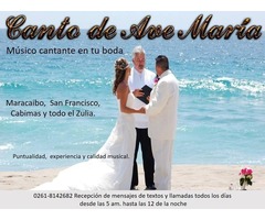 MÚSICO PARA TU BODA - Imagen 6/6