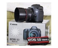 Canon EOS 5D Mark III con EF 24-105mm IS objetivo $1000 USD