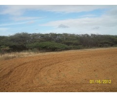 VENDO FINCA AGRICOLA - Imagen 4/6