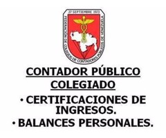 BALANCE PERSONAL - CONTADOR PUBLICO - CARACAS VENEZUELA - Imagen 6/6