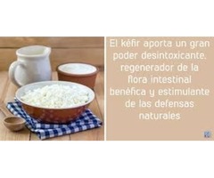 Kefir de agua, Kéfir de agua, hongos de piña - Imagen 4/5