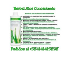 Herbal Aloe Concentrado - Imagen 1/2