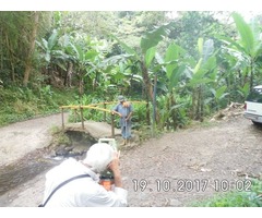 LOTE DE TERRENO EN LA VEGA DE SAN ANTONIO MERIDA - Imagen 4/6