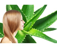 Shampoo De Aloe Vera Con Cayena 45 ML - Imagen 3/5