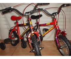 Bicicleta para niño Rin 12