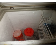 Enfriador-Congelador, marca Sankey de 200 litros - Imagen 6/6